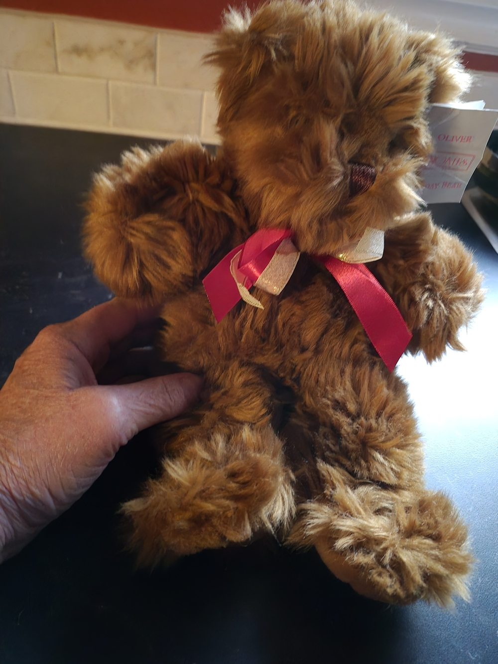 Vintage 1995 Mary Meyer For Noah's OLIVER Holiday Bear Plush NWT $40